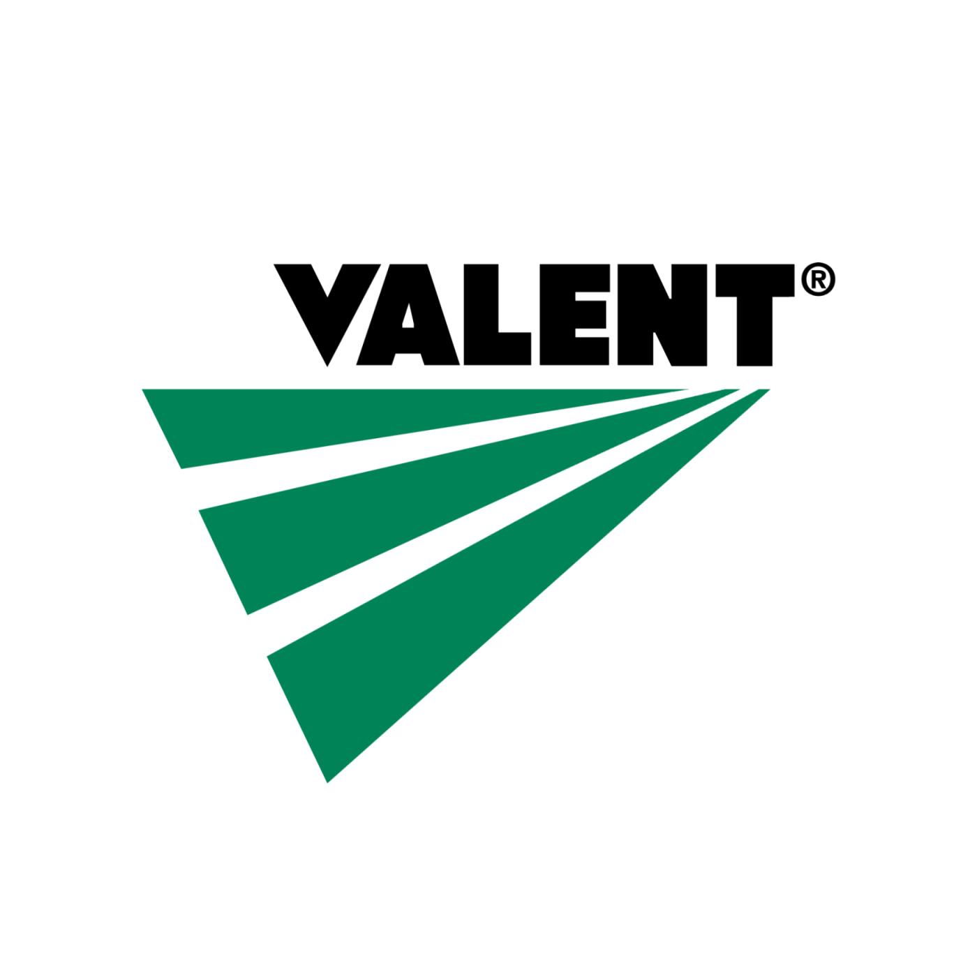 Valent-square-logo